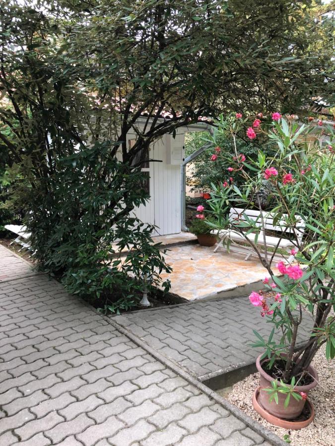 Szem-S Vendeghaz Hotell Balatonszárszó Exteriör bild