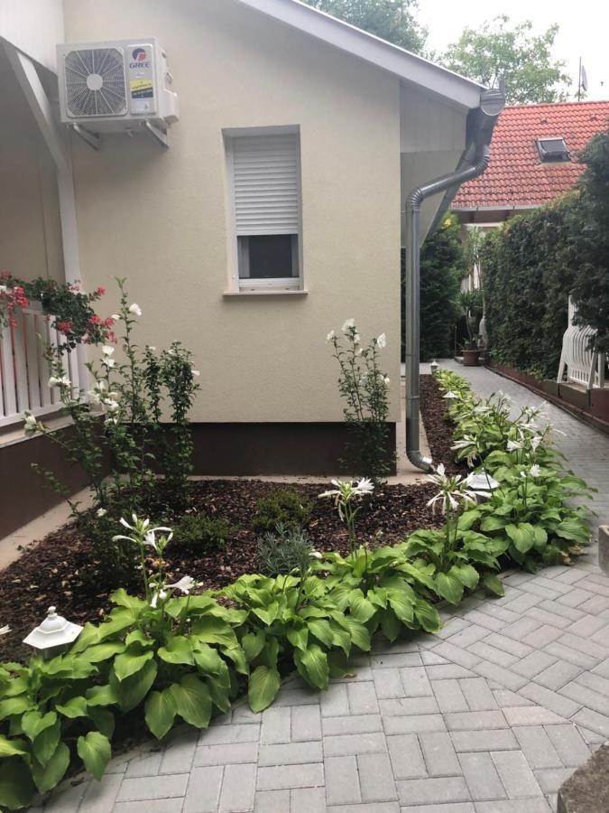 Szem-S Vendeghaz Hotell Balatonszárszó Exteriör bild