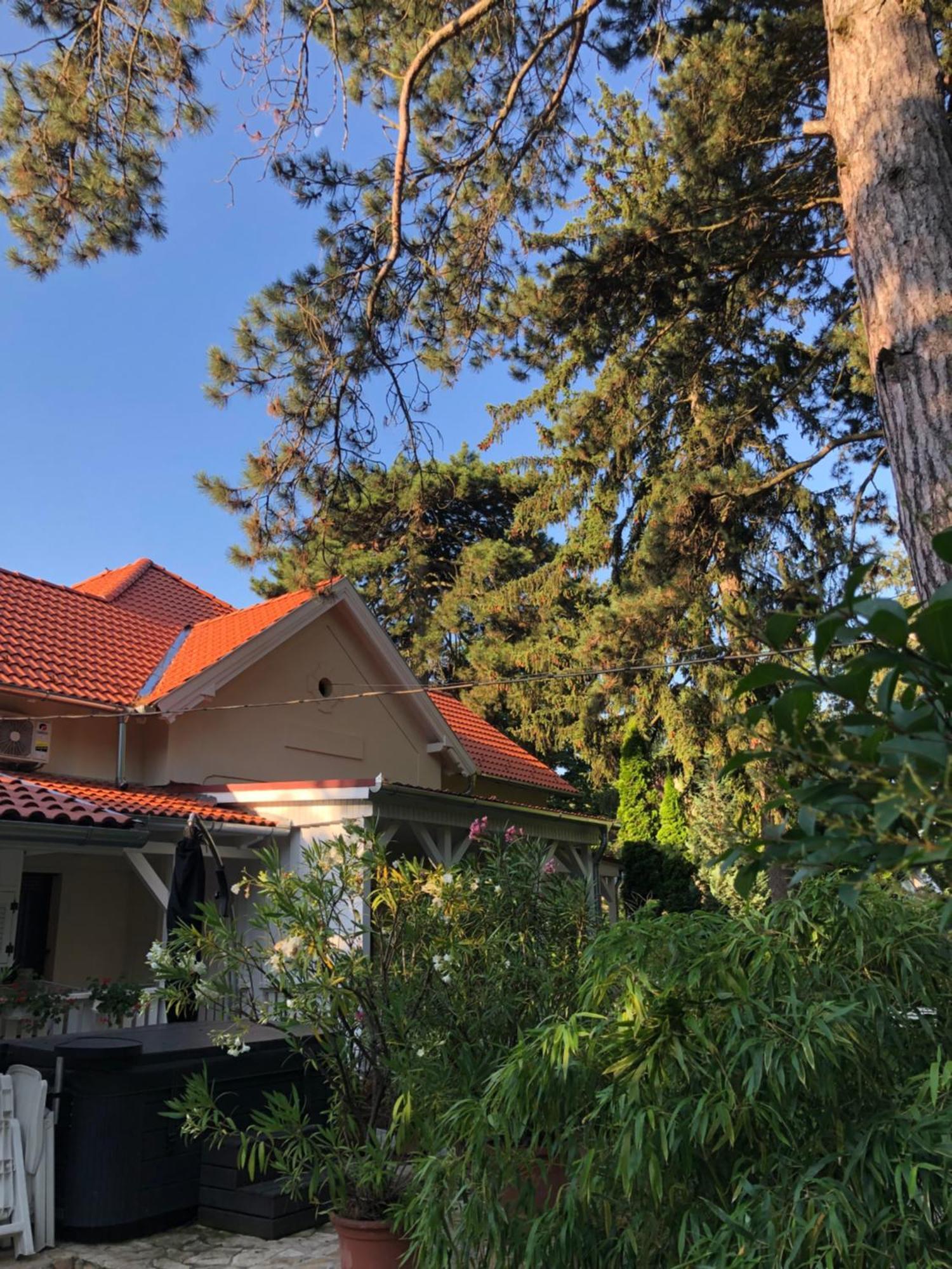 Szem-S Vendeghaz Hotell Balatonszárszó Exteriör bild